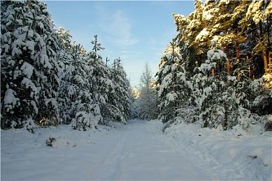 复古游戏订阅服务Antstream Arcade即将登陆PS4和PS5